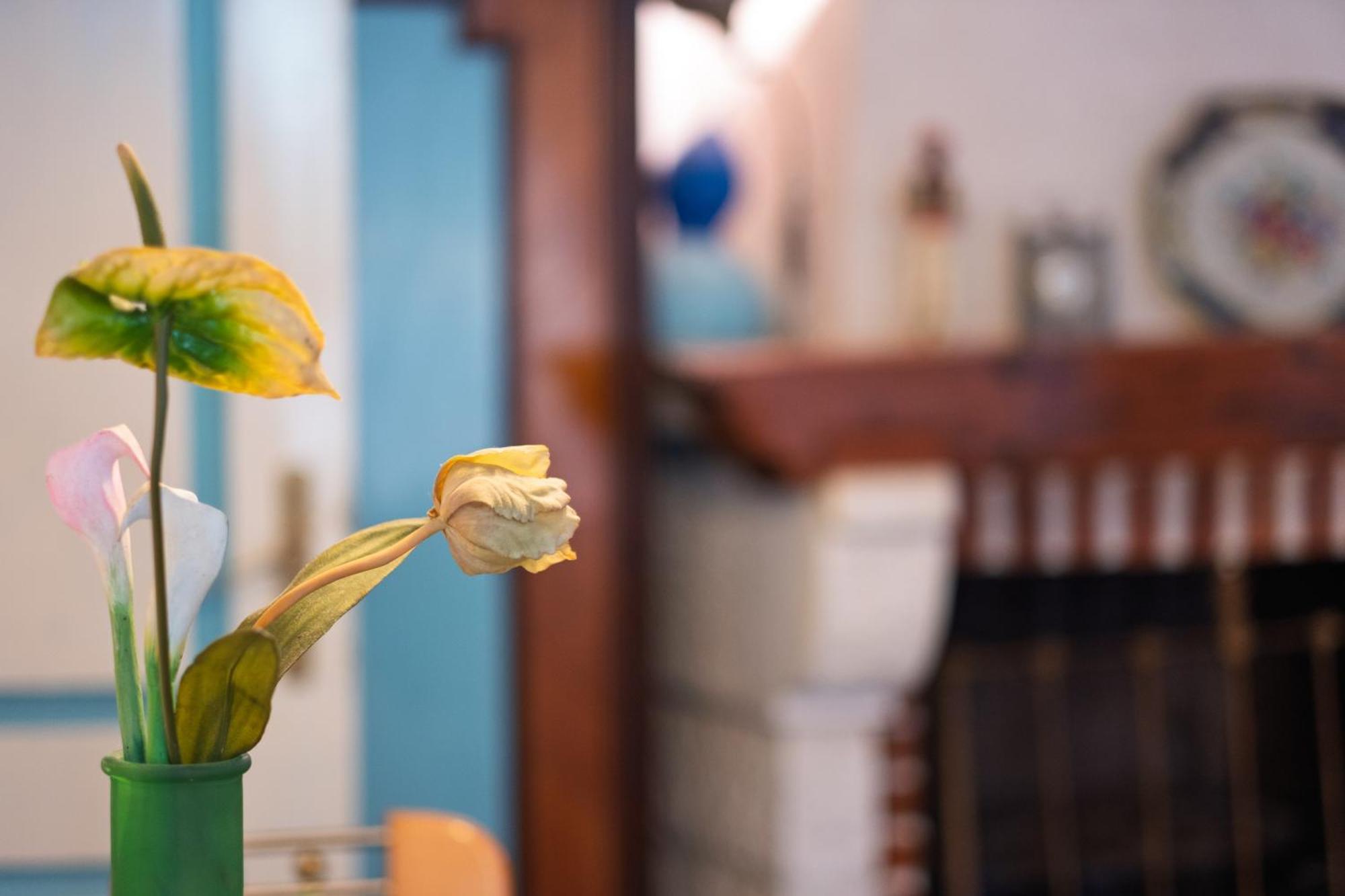 Bluemarine Rooms & Apartments เปราสต์ ภายนอก รูปภาพ